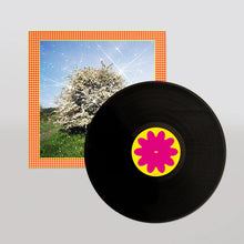 Cargar imagen en el visor de la galería, Caribou: Honey LP