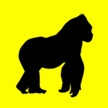 Cargar imagen en el visor de la galería, rusowsky: DAISY LP