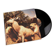 Cargar imagen en el visor de la galería, Interpol: Our Love to Admire 2LP