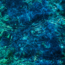 Cargar imagen en el visor de la galería, Ichiko Aoba: Luminescent Creatures LP