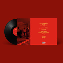 Cargar imagen en el visor de la galería, Fontaines D.C.: Skinty Fia LP