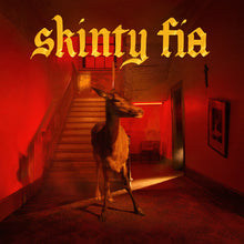 Cargar imagen en el visor de la galería, Fontaines D.C.: Skinty Fia LP