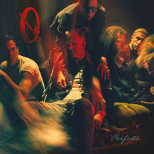 Cargar imagen en el visor de la galería, Queens Of The Stone Age: Perfecth LP