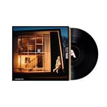 Cargar imagen en el visor de la galería, IDLES: Crawler LP