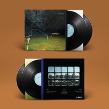 Cargar imagen en el visor de la galería, Yo La Tengo: This Stupid World 2LP