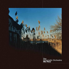 Cargar imagen en el visor de la galería, The Cinematic Orchestra: Ma Fleur 2LP