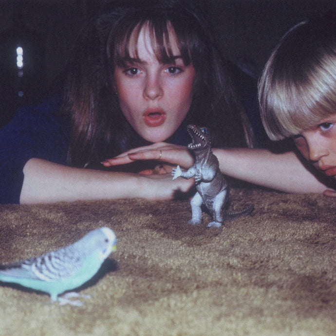 Big Thief: Masterpiece LP