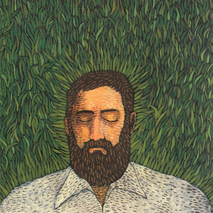 Iron & Wine: Our Endless Numbered Days LP