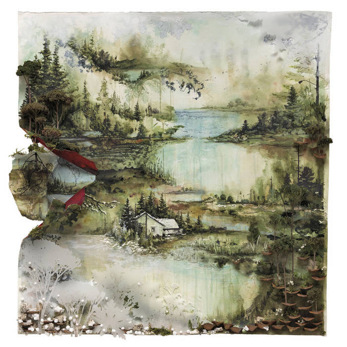 Bon Iver: bon iver, bon iver LP