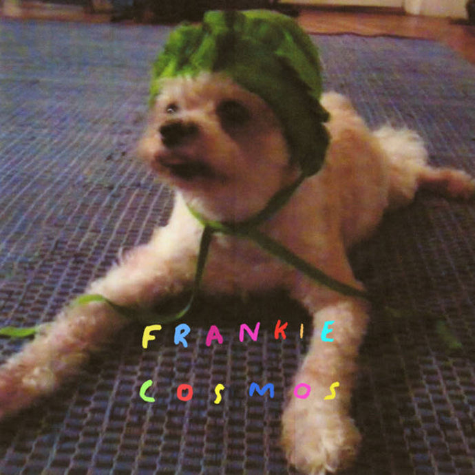 Frankie Cosmos: Zentropy LP