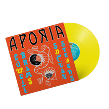 Cargar imagen en el visor de la galería, Lowell Brams &amp; Sufjan Stevens: Aporia LP
