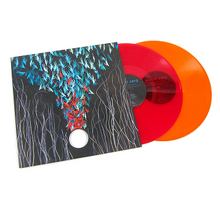 Cargar imagen en el visor de la galería, Bright Eyes: Down in the Weeds, Where the World Once Was 2LP
