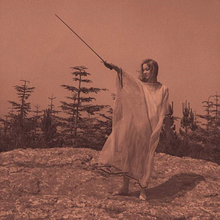 Cargar imagen en el visor de la galería, Unknown Mortal Orchestra: II LP
