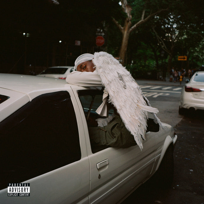 Blood Orange: Negro Swan 2LP