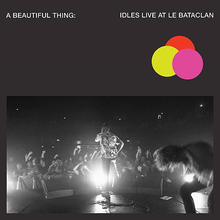 Cargar imagen en el visor de la galería, IDLES: A Beautiful Thing: IDLES Live at Le Bataclan 2LP
