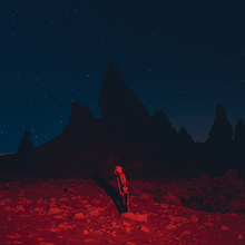 Cargar imagen en el visor de la galería, Phoebe Bridgers: Punisher LP
