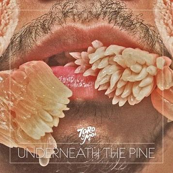 Toro y Moi: Underneath the Pine LP